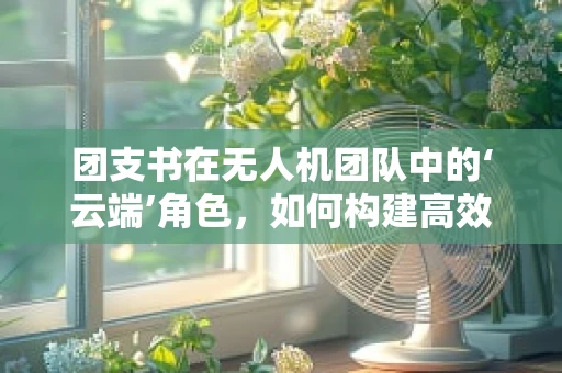 团支书在无人机团队中的‘云端’角色，如何构建高效沟通的桥梁？