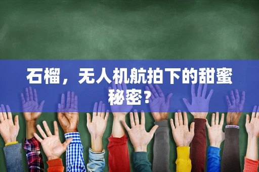 石榴，无人机航拍下的甜蜜秘密？