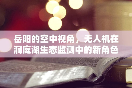 岳阳的空中视角，无人机在洞庭湖生态监测中的新角色？