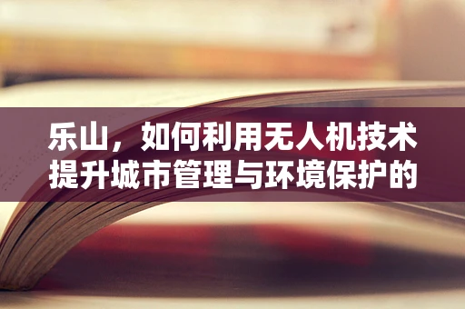 乐山，如何利用无人机技术提升城市管理与环境保护的效率？