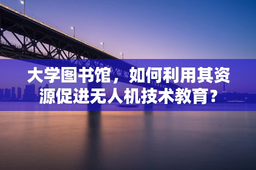 大学图书馆，如何利用其资源促进无人机技术教育？