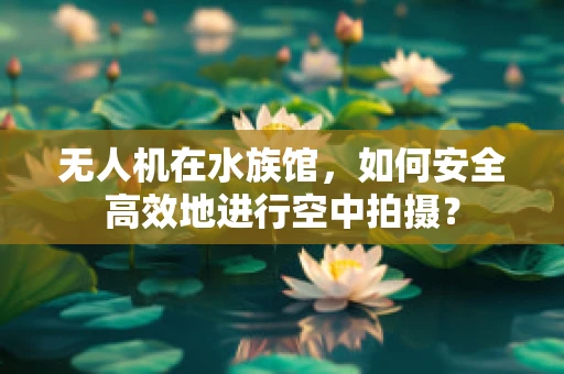 无人机在水族馆，如何安全高效地进行空中拍摄？