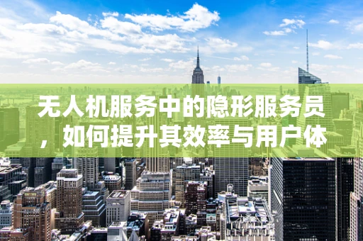 无人机服务中的隐形服务员，如何提升其效率与用户体验？