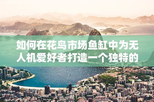 如何在花鸟市场鱼缸中为无人机爱好者打造一个独特的观赏视角？