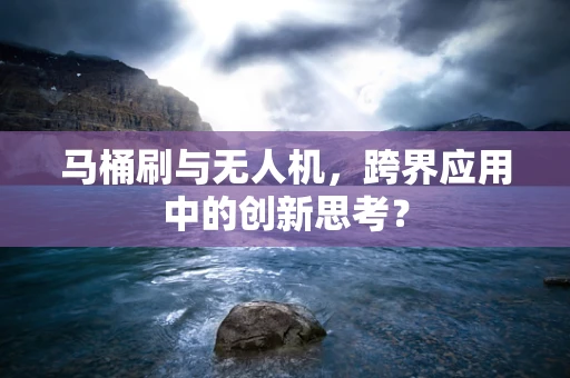 马桶刷与无人机，跨界应用中的创新思考？