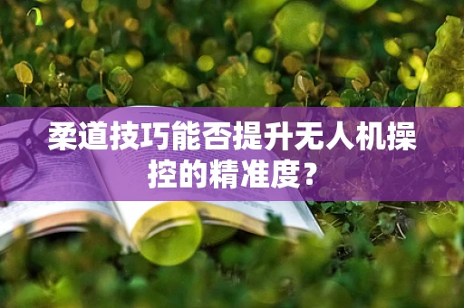 柔道技巧能否提升无人机操控的精准度？
