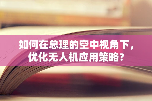 如何在总理的空中视角下，优化无人机应用策略？