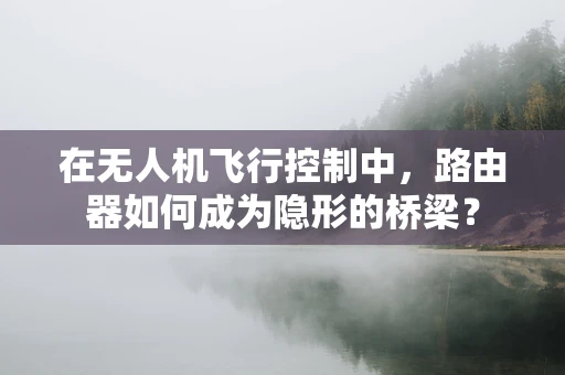 在无人机飞行控制中，路由器如何成为隐形的桥梁？