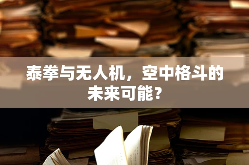 泰拳与无人机，空中格斗的未来可能？