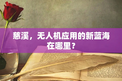 慈溪，无人机应用的新蓝海在哪里？