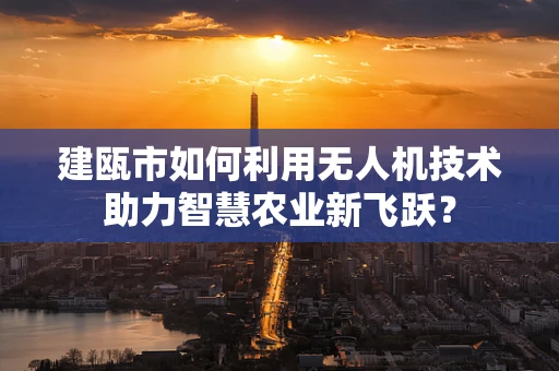 建瓯市如何利用无人机技术助力智慧农业新飞跃？