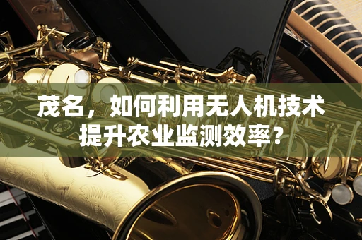 茂名，如何利用无人机技术提升农业监测效率？