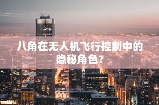 八角在无人机飞行控制中的隐秘角色？