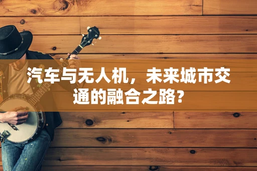 汽车与无人机，未来城市交通的融合之路？