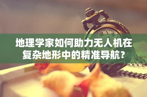 地理学家如何助力无人机在复杂地形中的精准导航？