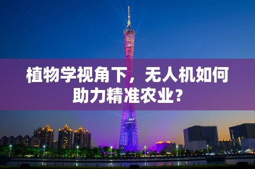 植物学视角下，无人机如何助力精准农业？