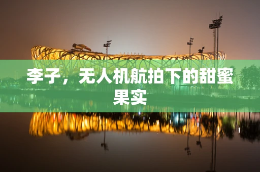 李子，无人机航拍下的甜蜜果实