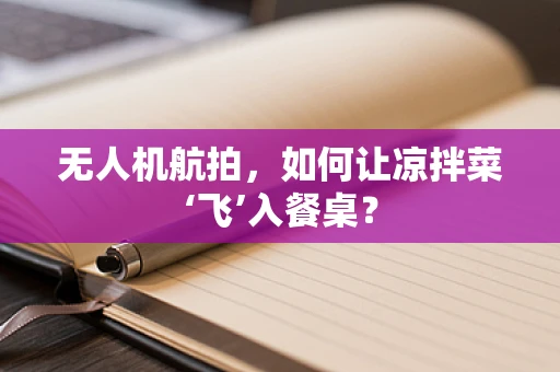 无人机航拍，如何让凉拌菜‘飞’入餐桌？