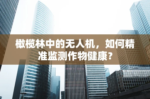 橄榄林中的无人机，如何精准监测作物健康？