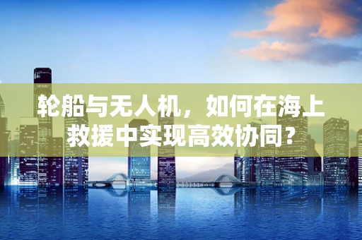 轮船与无人机，如何在海上救援中实现高效协同？