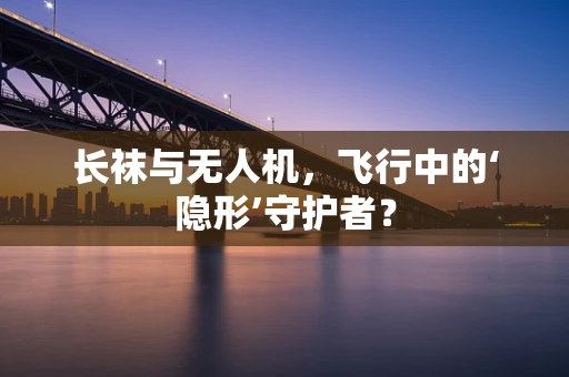 长袜与无人机，飞行中的‘隐形’守护者？