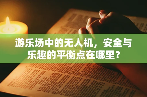 游乐场中的无人机，安全与乐趣的平衡点在哪里？