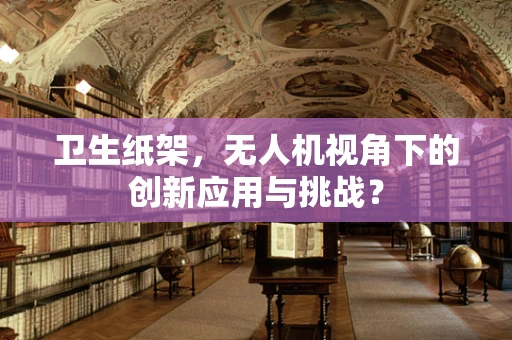 卫生纸架，无人机视角下的创新应用与挑战？