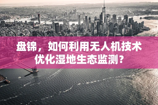 盘锦，如何利用无人机技术优化湿地生态监测？