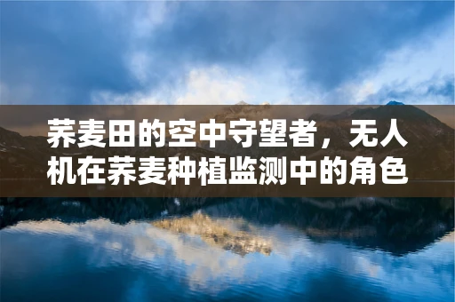 荞麦田的空中守望者，无人机在荞麦种植监测中的角色？