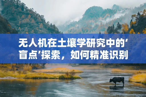 无人机在土壤学研究中的‘盲点’探索，如何精准识别与采样？