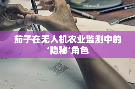 茄子在无人机农业监测中的‘隐秘’角色