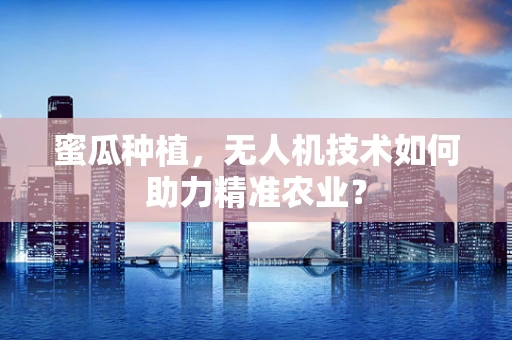 蜜瓜种植，无人机技术如何助力精准农业？