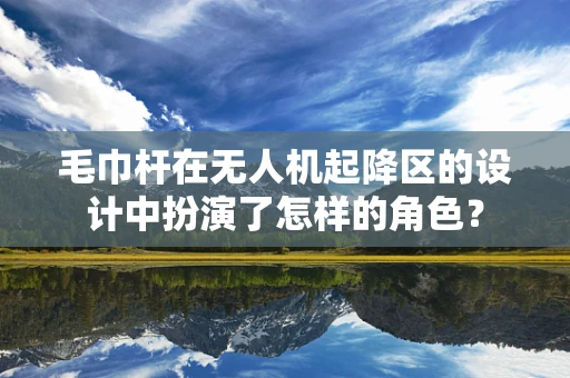 毛巾杆在无人机起降区的设计中扮演了怎样的角色？