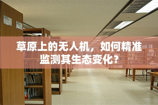 草原上的无人机，如何精准监测其生态变化？