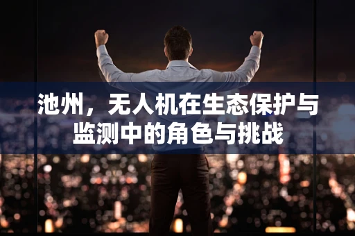 池州，无人机在生态保护与监测中的角色与挑战