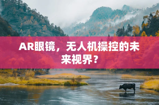 AR眼镜，无人机操控的未来视界？