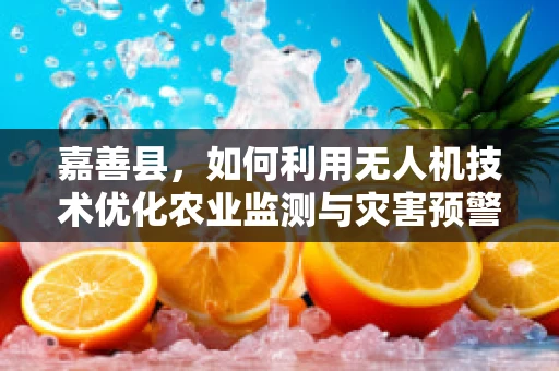 嘉善县，如何利用无人机技术优化农业监测与灾害预警？