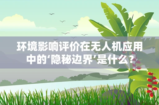 环境影响评价在无人机应用中的‘隐秘边界’是什么？
