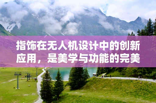 指饰在无人机设计中的创新应用，是美学与功能的完美融合吗？