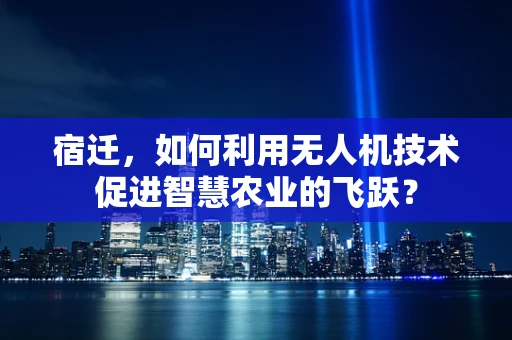宿迁，如何利用无人机技术促进智慧农业的飞跃？