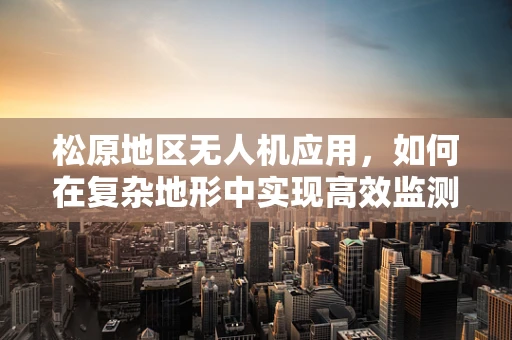 松原地区无人机应用，如何在复杂地形中实现高效监测？
