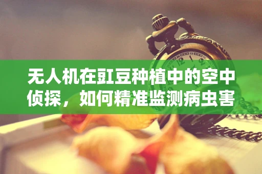 无人机在豇豆种植中的空中侦探，如何精准监测病虫害？