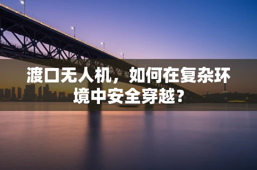 渡口无人机，如何在复杂环境中安全穿越？
