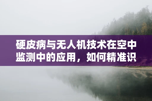 硬皮病与无人机技术在空中监测中的应用，如何精准识别并追踪病情发展？