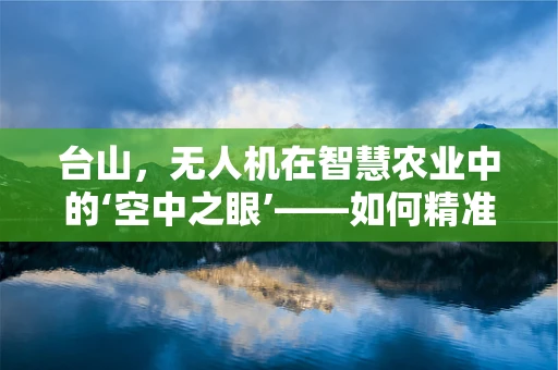台山，无人机在智慧农业中的‘空中之眼’——如何精准监测与助力？