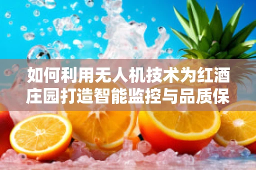 如何利用无人机技术为红酒庄园打造智能监控与品质保障？