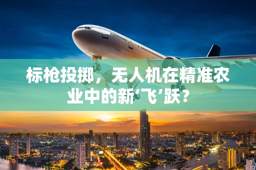 标枪投掷，无人机在精准农业中的新‘飞’跃？