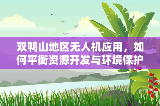 双鸭山地区无人机应用，如何平衡资源开发与环境保护？