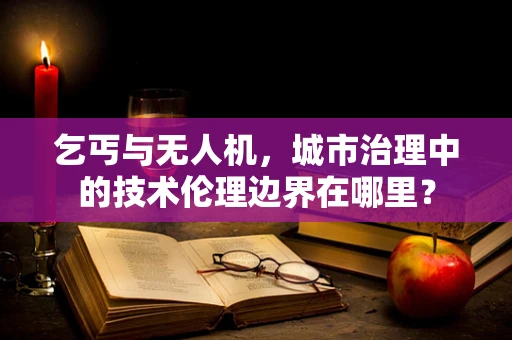 乞丐与无人机，城市治理中的技术伦理边界在哪里？