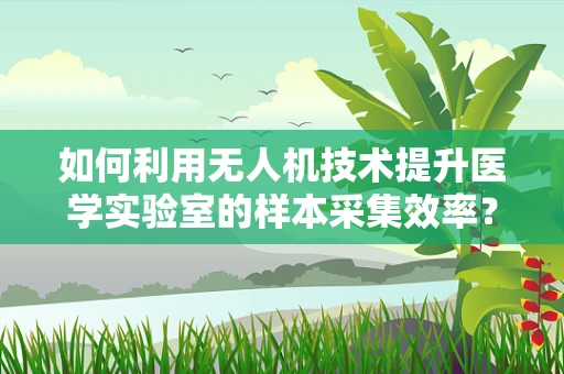 如何利用无人机技术提升医学实验室的样本采集效率？